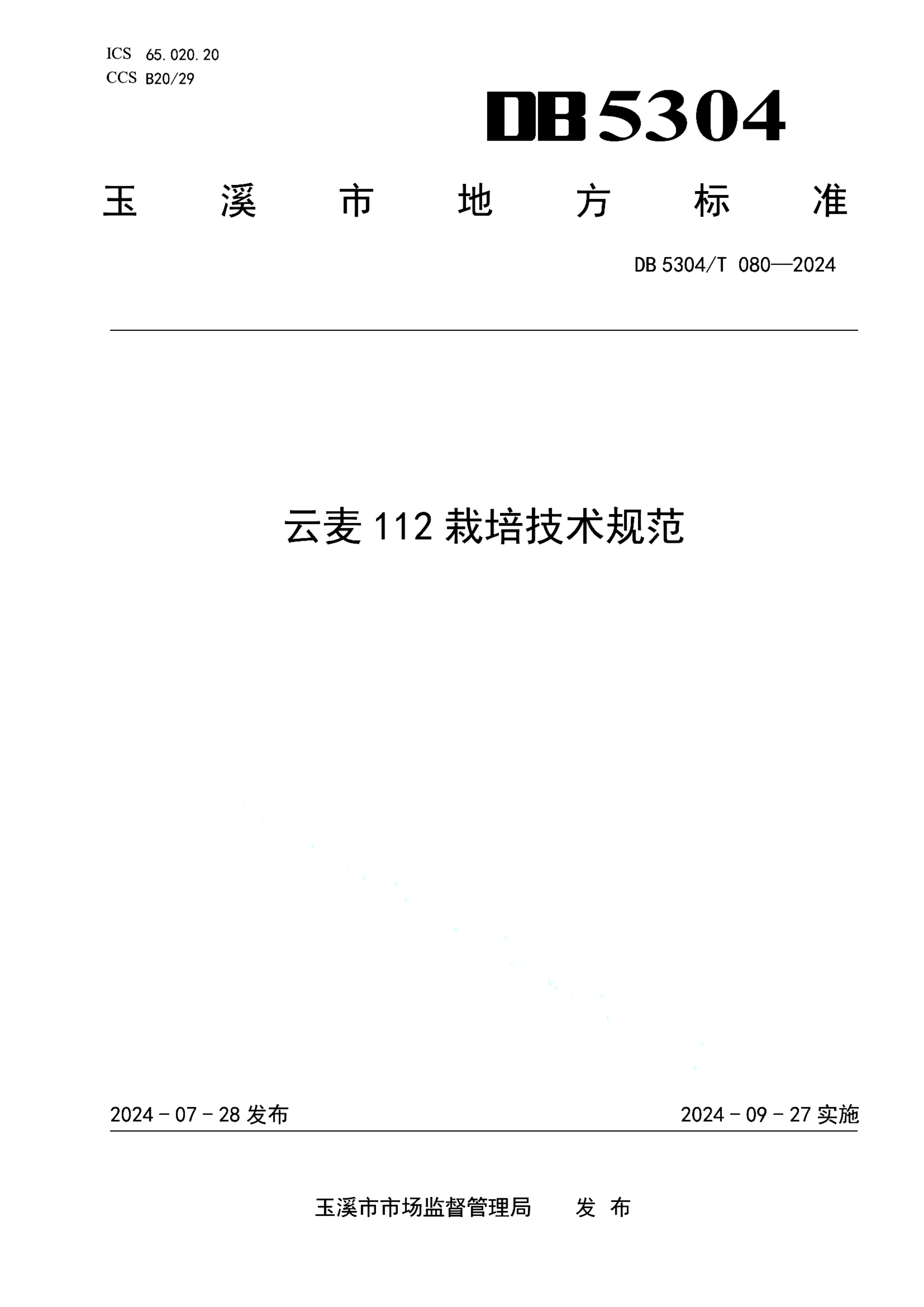 资源详情图